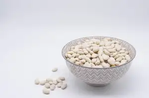 Protein Výprodej